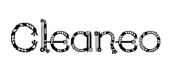 Cleaneo - logo